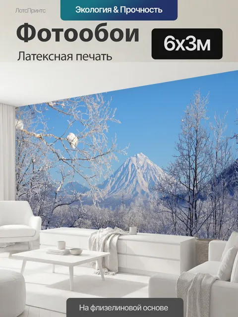 600 × 300 см · Латексная печать