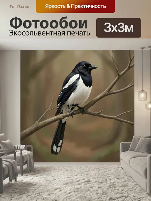 Фотообои Черно-белая птица на ветке. Грациозная лесная пернатая с контрастным оперением сидит на сухой ветке. Натураль…