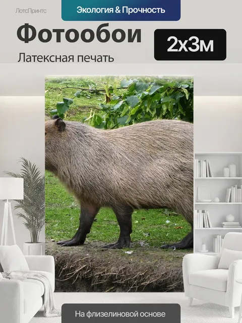 200 × 300 см · Латексная печать