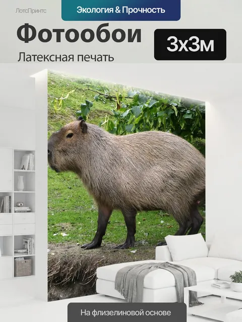 300 × 300 см · Латексная печать