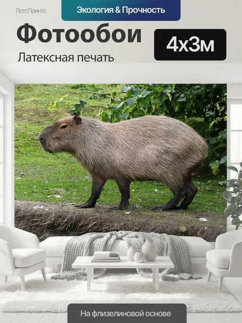 400 × 300 см · Латексная печать