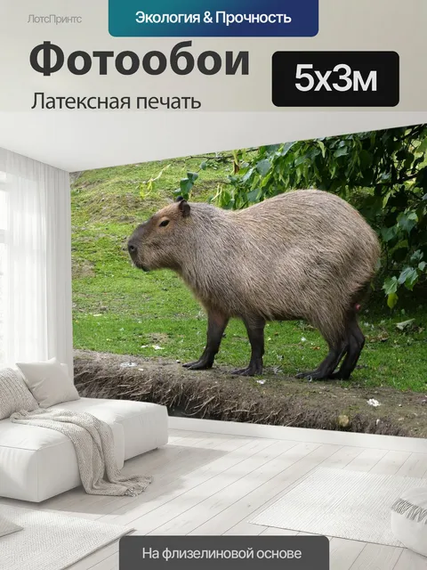 500 × 300 см · Латексная печать