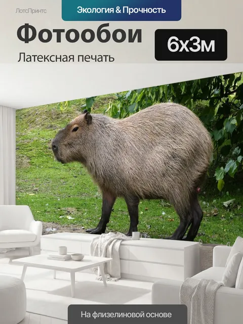 600 × 300 см · Латексная печать