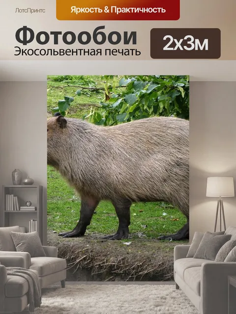 200 × 300 см · Экосольвентная печать