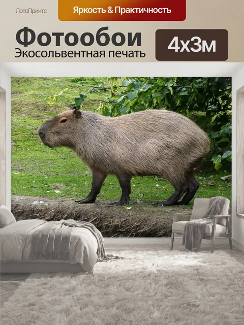 400 × 300 см · Экосольвентная печать