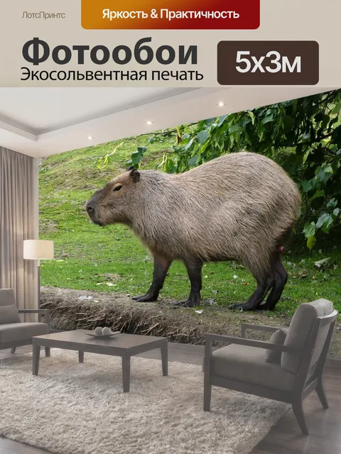 500 × 300 см · Экосольвентная печать