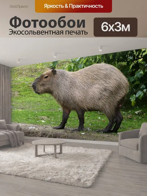 600 × 300 см · Экосольвентная печать