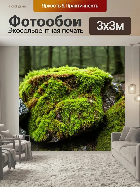 Фотообои Текстура мха на камнях в лесу