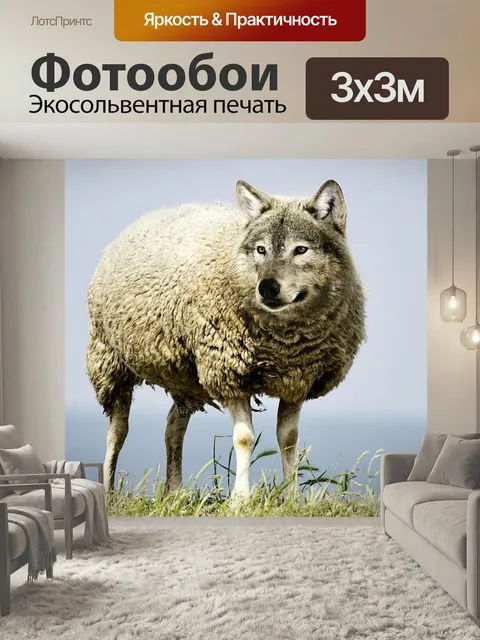Фотообои Волк в овечьей шкуре, волк, овец