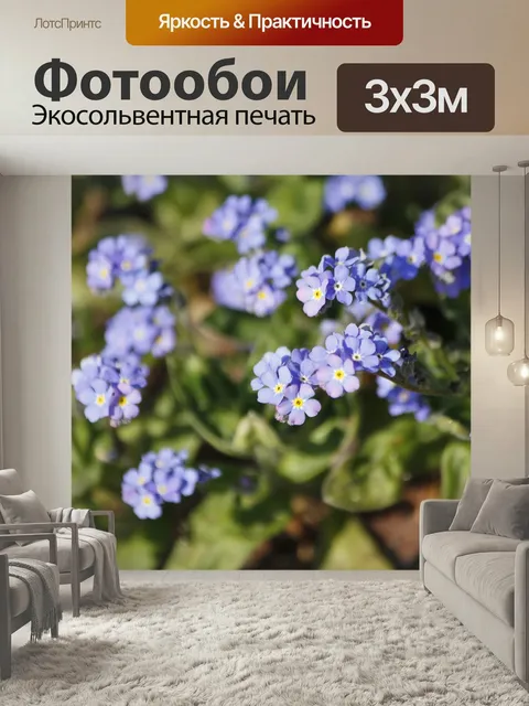 Фотообои Синий, весенний цветок, незабудка