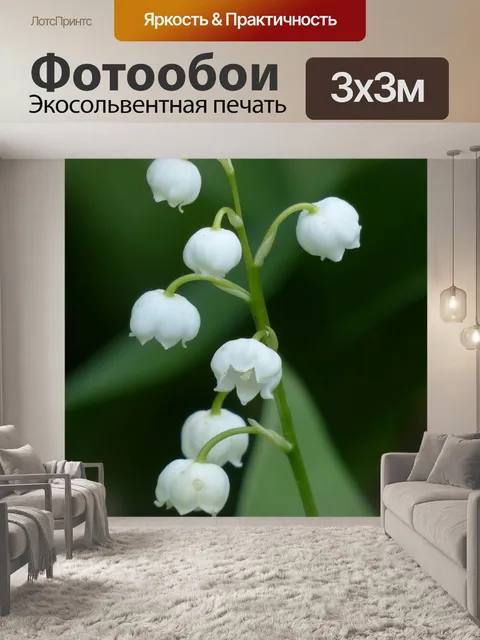 Фотообои Ландыш, цвести, белый