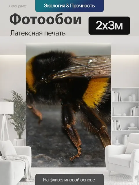 200 × 300 см · Латексная печать