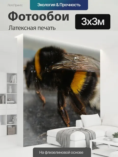 300 × 300 см · Латексная печать