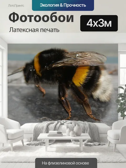 400 × 300 см · Латексная печать