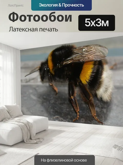 500 × 300 см · Латексная печать