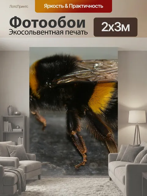 200 × 300 см · Экосольвентная печать