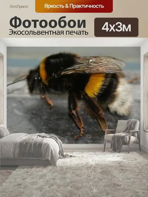 400 × 300 см · Экосольвентная печать