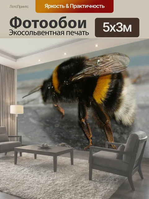 500 × 300 см · Экосольвентная печать