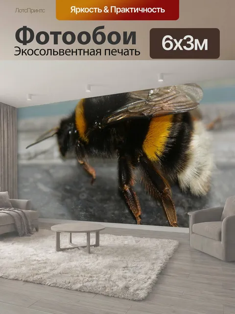 600 × 300 см · Экосольвентная печать