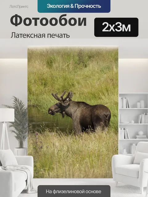 200 × 300 см · Латексная печать