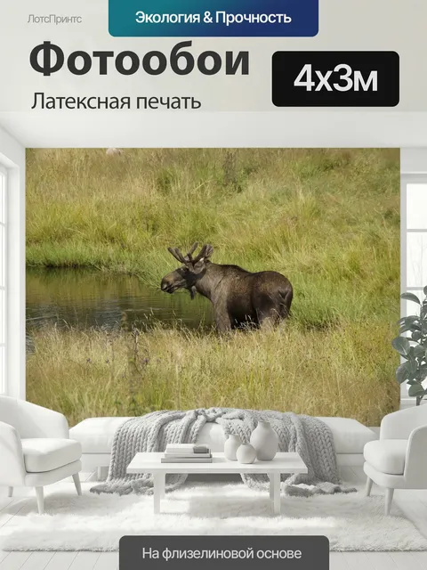 400 × 300 см · Латексная печать
