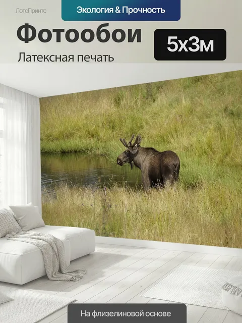 500 × 300 см · Латексная печать