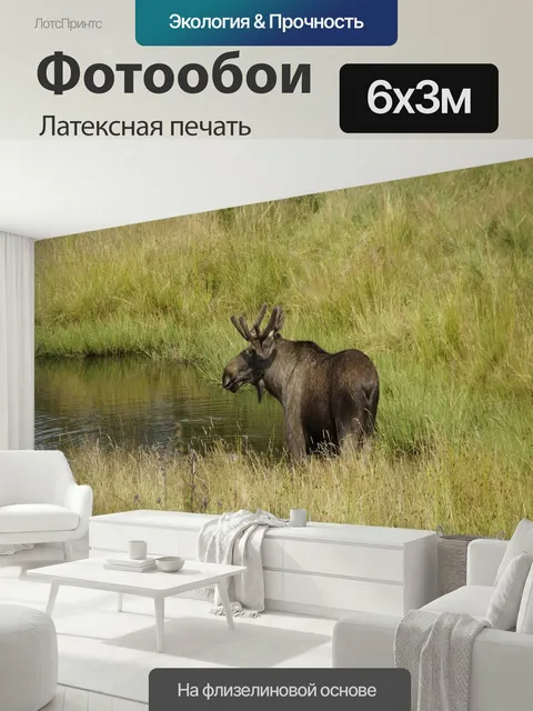 600 × 300 см · Латексная печать