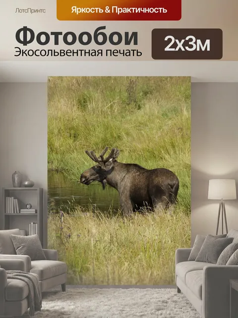 200 × 300 см · Экосольвентная печать