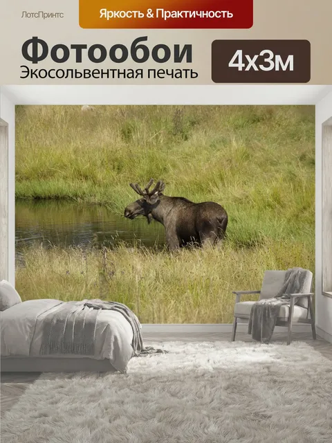 400 × 300 см · Экосольвентная печать