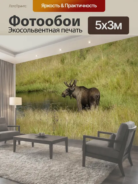 500 × 300 см · Экосольвентная печать