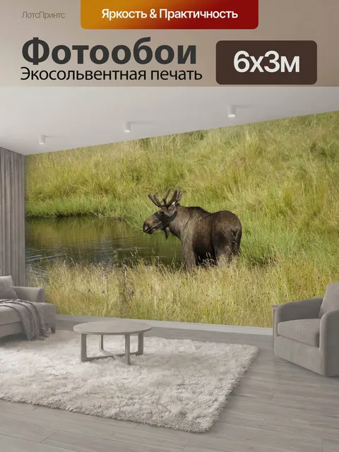 600 × 300 см · Экосольвентная печать