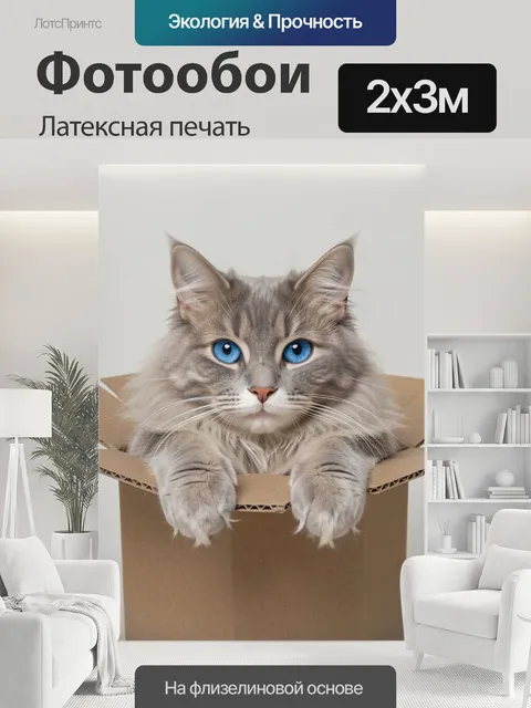 200 × 300 см · Латексная печать