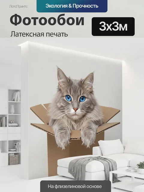 300 × 300 см · Латексная печать