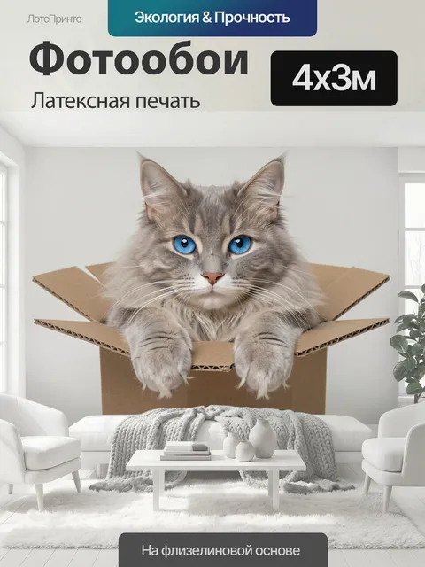 400 × 300 см · Латексная печать