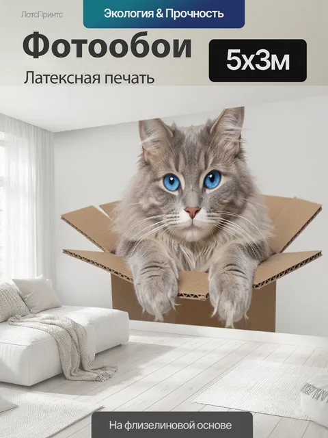 500 × 300 см · Латексная печать