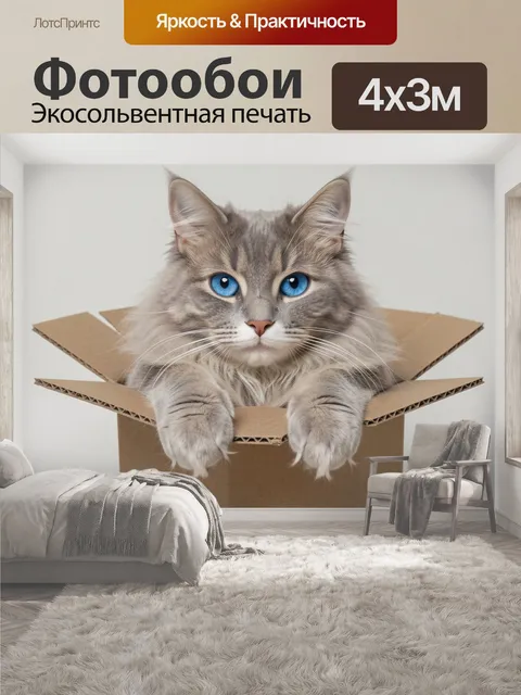 400 × 300 см · Экосольвентная печать