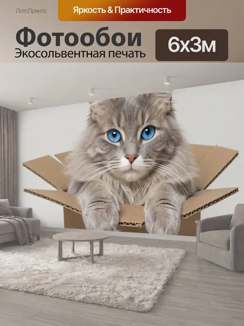 600 × 300 см · Экосольвентная печать