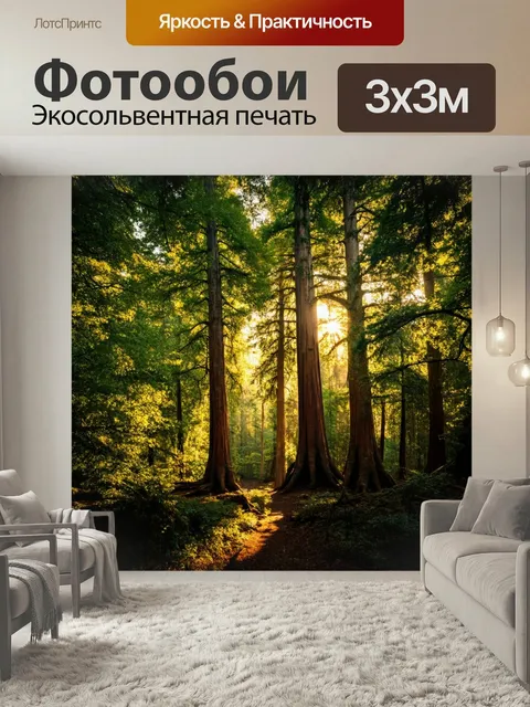 Фотообои Густой лес с огромными деревьями, которые солнечный свет пробивается сквозь листья