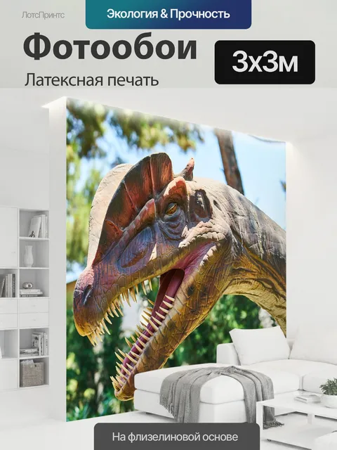 300 × 300 см · Латексная печать
