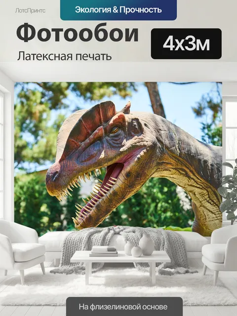 400 × 300 см · Латексная печать