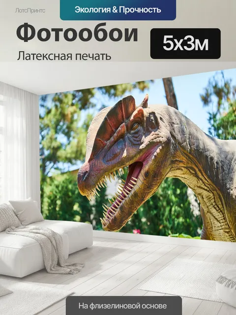 500 × 300 см · Латексная печать