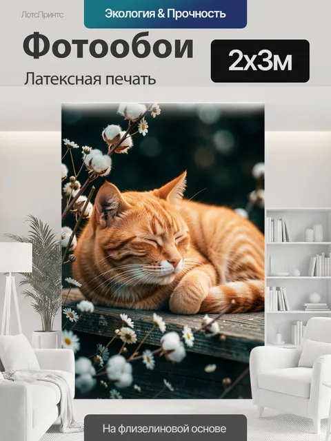 200 × 300 см · Латексная печать