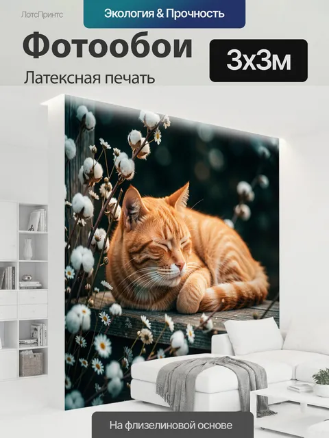 300 × 300 см · Латексная печать