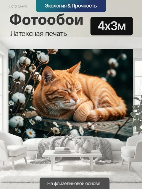 400 × 300 см · Латексная печать