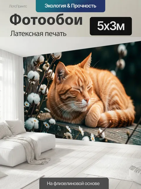 500 × 300 см · Латексная печать