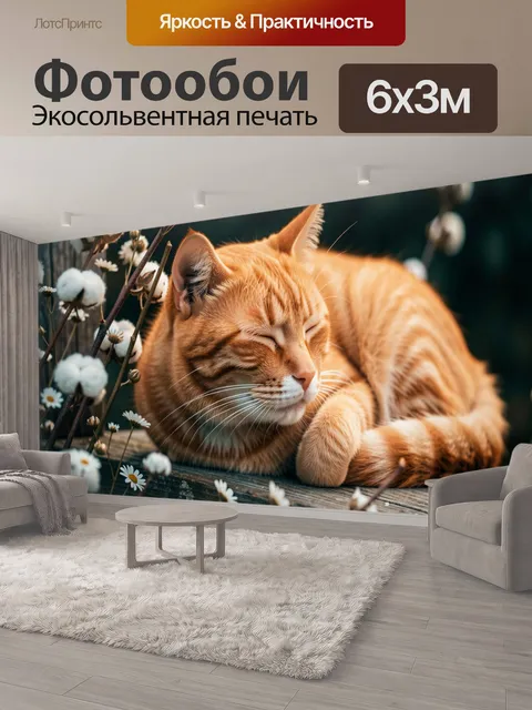 600 × 300 см · Экосольвентная печать