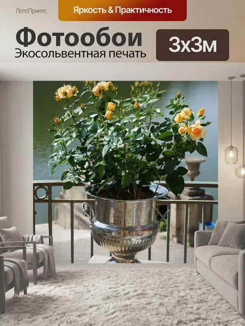 Фотообои Завод, роза, горшок