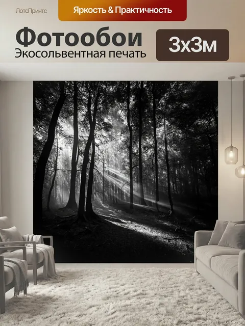 Фотообои Черно-белый: тёмные лесные глубины, пронизанные лучами света, создают магическую атмосферу. детали и узоры от…