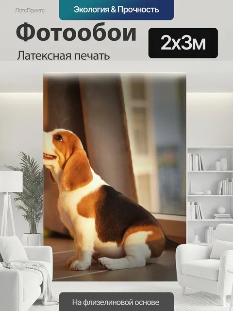 200 × 300 см · Латексная печать