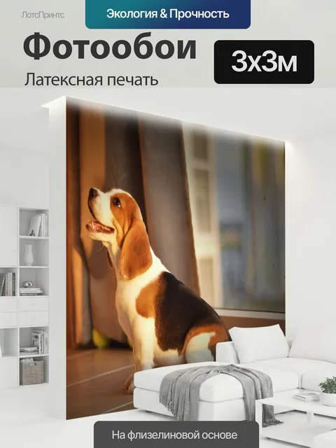 300 × 300 см · Латексная печать
